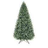 PREORDER - 10ft Black Forest
