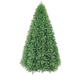 PREORDER - 10ft Colorado Fir