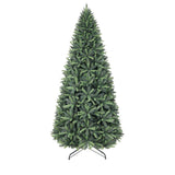 PREORDER - 12ft Black Forest