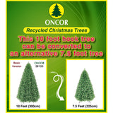 PREORDER - 10ft Colorado Fir