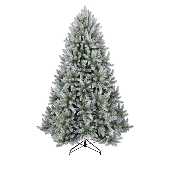 Frosted Silver Fir