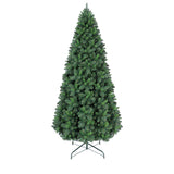 PREORDER - 10ft Montana