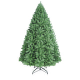 PREORDER - 10ft Douglas Fir