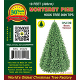 PREORDER - 10ft Monterey Pine