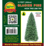 PREORDER - 12ft Glacier Pine