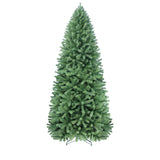 PREORDER - 12ft Glacier Pine