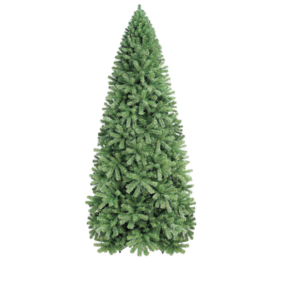 PREORDER - 12ft Colorado Fir