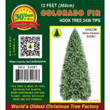 PREORDER - 12ft Colorado Fir