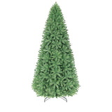 PREORDER - 12ft Oregon Fir