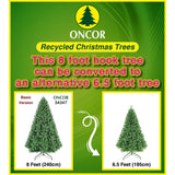 PREORDER - 8ft Douglas Fir