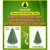 PREORDER - 10ft Douglas Fir