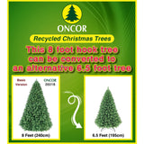 PREORDER - 8ft Monterey Pine