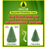 PREORDER - 9ft Monterey Pine