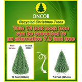 PREORDER - 10ft Monterey Pine