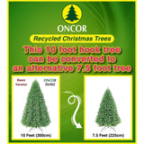 PREORDER - 10ft Oregon Fir