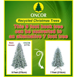 PREORDER - 9ft Frosted Silver Fir