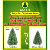 PREORDER - 8ft Colorado Fir