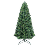 PREORDER - 8ft Montana