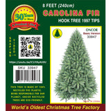 PREORDER - 8ft Carolina Fir