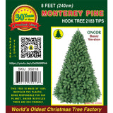 PREORDER - 8ft Monterey Pine