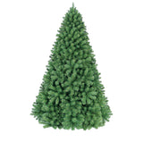 PREORDER - 8ft Monterey Pine