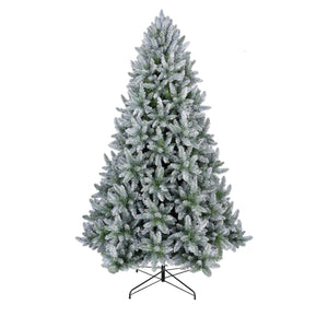 8ft Frosted Silver Fir