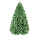 PREORDER - 8ft Colorado Fir