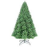 PREORDER - 9ft Douglas Fir